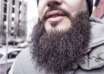 Islam et terrorisme